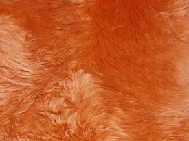Оранжевый круглый овчина десятишкурная  ORANGE 10SS 2001